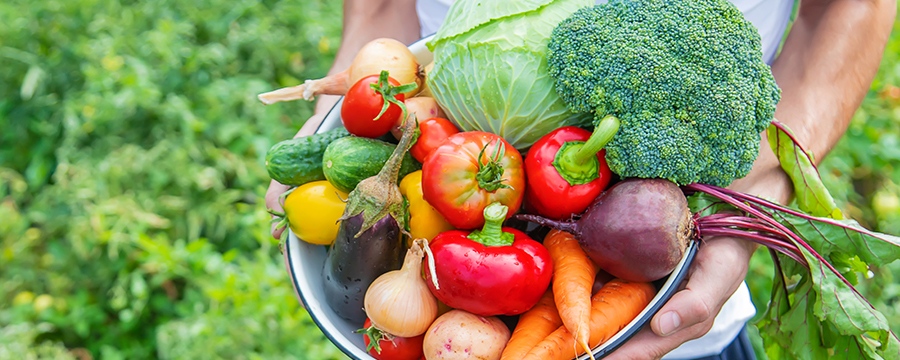 旬の野菜や果物の健康効果と摂取目安