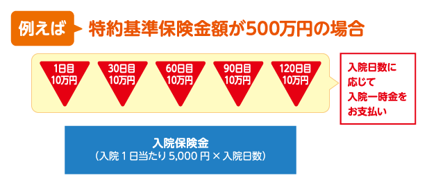 例えば、特約基準保険金額が500万円の場合、入院日数に応じて入院一時金（1日目10万円、30日目10万円、60日目10万円、90日目10万円、120日目10万円）をお支払い。さらに入院保険金は入院1日あたり5,000円かける入院日数をお支払い