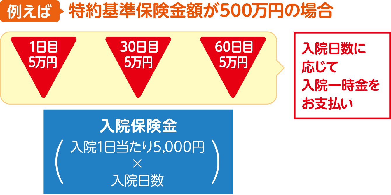 例えば、特約基準保険金額が500万円の場合、入院日数に応じて入院一時金（1日目5万円、30日目5万円、60日目5万円）をお支払い。さらに入院保険金は入院1日あたり5,000円かける入院日数をお支払い